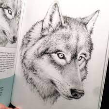 Hope you like this video and share with your friends. Mark Crilley On Twitter Artwork From The Two Pencil Method From The Chapter On How To Draw Animals As With All The Lessons In The Book It Was Done With An Ordinary
