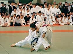 We did not find results for: Deportes Kids Web Japan Web Japan