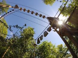 Wildwood trust currently runs two wildlife parks in canterbury, kent and escot, devon. Part Of The Wild Wood Course Bild Von Wild Wood Adventure Guildford Tripadvisor