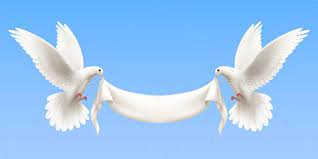 White Pigeons Realistic Banner White Pigeon Dove Images Alphabet Images
