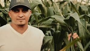 Sistema de riego impulsa producción agrícola en Corredor Seco de Guatemala 