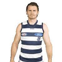 Le plus grand catalogue de films gratuits du web. Swipe Up Patrick Dangerfield Sticker By Geelongcats For Ios Android Giphy