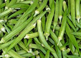 Maybe you would like to learn more about one of these? Okra Abelmoschus Esculentus 20 Seeds Onszaden