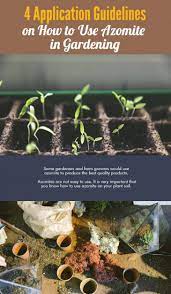 Using azomite in the garden #264318. 4 Application Guidelines On How To Use Azomite In Gardening Garden Ambition
