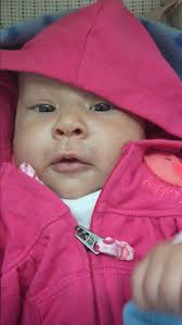 sandra coy (@sandracoynino)