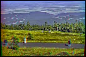 Elevation Of Brocken Wernigerode Germany Topographic Map Altitude Map