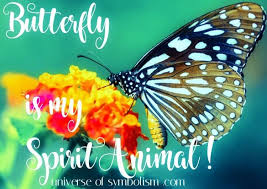 Butterfly Is My Spirit Animal Symbolic Spiritual Meaning Of Butterfly With Butterfly Dream Symbo Butterfly Spirit Animal Butterfly Symbolism Spirit Animal