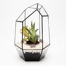 Terrariums For Sale Pre Filled Ready Made Terrarium Uk Buy Online Hanging Terrarium Terrarium Glass Garden