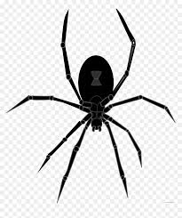 The falcon and the winter soldier. Halloween Black Widow Spider Hd Png Download Vhv