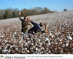 Cottonfield Quotes Quotesgram