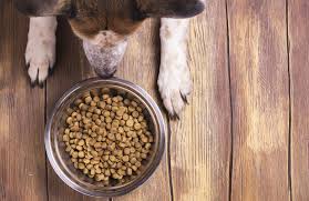 To start, pick a few days when there won't likely be additional activity, stress or an unusual disruption to routine (starting a fast is not recommended if you're about to go on a road trip, or you've just brought home a new baby!) How To Change Your Dog S Food In The Right Way