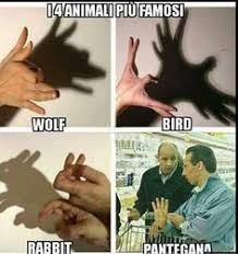 Quali collegamenti ci sono fra il nostro comportamento, il nostro mondo emotivo e quello del cane? 10 Idee Su Agg Meme Divertente Immagini Divertenti Citazioni Divertenti