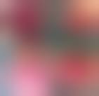 Image result for Glomus tumor