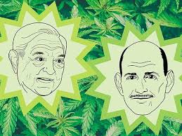 Their association with george soros, alone, should bring chills up your back. The Little Known Story Of Marijuana Legalization Green Guide Spring 2019 The Stranger