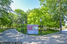 動物園 木柵 萬芳社區 萬芳醫院 辛亥 麟光 六張犁 科技大樓 南京復興 中山國中 松山機場 大直 劍南路 西湖 港墘 文德 內湖 大湖公園 葫洲 東湖 南港軟體園 新店 新店區公所 七張 小碧潭 大坪林 景美 萬隆 公館 台電大樓 古亭 小南門 北門 台北 小巨蛋 南京三民 松山 南勢角 景安 永安市場 頂溪 松江南京 行天. å…´éš†å…¬å›­
