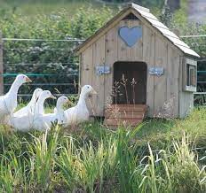 The house was demolished in 1898. Majestic Diy Duck House Plans And Ideas You Ll Like Https Meowlogy Com 2018 05 21 Diy Duck House Plans And Ideas Youl Duck House Duck House Plans Goose House