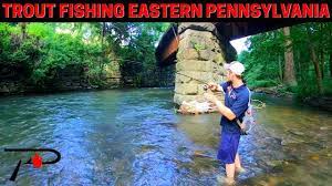 2022 Pa Trout Stocking Schedule Pennsylvania Trout Stocking Schedule (2022) - Premier Angler