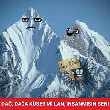 Hayat Sevince Paylasinca Guzel Sosyalokuz Okuz Caps Insan Takipci Yeni Komik Begeni Takip Resim Resimler Mizah Instagoo Komik Mizah Komik Seyler