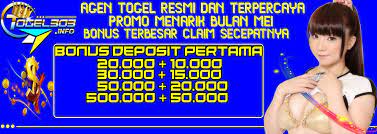 Promo Togel303 Agen Bandar Dan