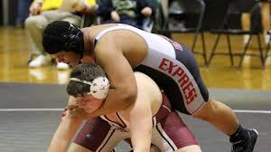 Elmira wrestlers repeat as Section 4 Division I team champion