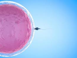 Sexual: Es aquella en la q  necesita mas de un progenitor para crear un organismo como por ejemplo los humanos
