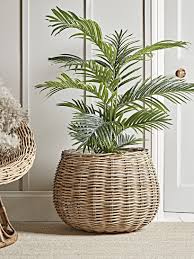 Check out our large indoor plant pot selection for the very best in unique or custom, handmade pieces from our planters & pots shops. Indoor Planters Large Decorative Indoor Plant Pots Indoor Flower Pots Uk