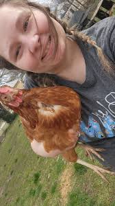 Does feeding quail in extreme heat count as exercise?
