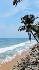 Backpacking Kerala Itinerary One Week In Kerala India Kerala Travel Blog Flashpacking Kerala India Travel Beach Town Kerala Travel
