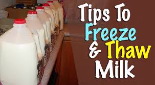 Freezing Milk Thawing Milk How Long Can Frozen Milk Be Stored In 2020 Freezing Milk Freezing Cream Cheese Thawing