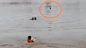 Kali ini warna bemonya bukan coklat dan aku lupa warnanya apa. Lagi Pemuda Tenggelam Di Kalimati Waduk Leminggir Mojokerto Saat Berenang Info Seputar Mojokerto