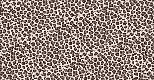 Shop our white wallpaper today! Animal Print Laptop Wallpapers Top Free Animal Print Laptop Backgrounds Wallpaperaccess