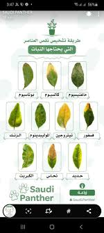 مشخصات زمینلرزه بازبینی شده است. Pin By Ø§Ù… Ø²ÙŠÙ†Ø¨ On Gardening Flowering House Plants Hanging Plants Plants