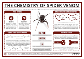 They normally bite when they're startled or surprised. The Chemistry Of Spider Venom Compound Interest