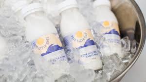 At desert farms, along with our hard working farmers we'll milk your healthy camel at your service and when your camel is ready to drop some milk we'll try and catch the. Wa Camel Dairy Could Revolutionise Pricing Of Camel Milk