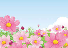 Pink Flowers Vector Background Novocom Top