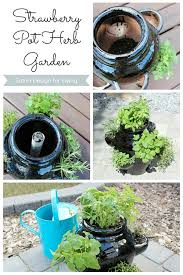 You can line your walkway or path or even a wall with a row of single pots or cluster them to create more interest. Strawberry Pot Herb Garden Satori Design For Living