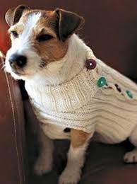 Check spelling or type a new query. Knit A Button Up Dog Sweater Dog Sweater Pattern Crochet Dog Sweater Dog Jumper Knitting Pattern
