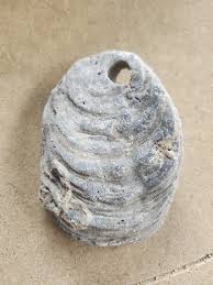 Thought it was neat!