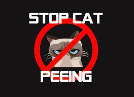 How To Stop A Cat From Peeing On Furniture Cat Pee Cat Usa Cat Spray