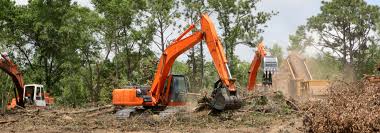 Brush Removal and Land Clearing: Everything You Need to Know