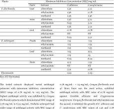 Image result for Embelia schimperi