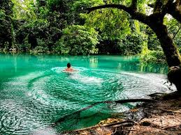 Image result for Atalaya