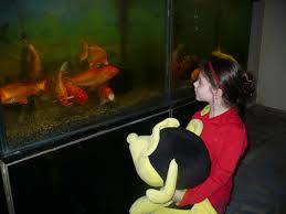 Povestea pestisorul de aur, scrisa de fratii grimm, ne prezinta intalnirea dintre un batran pescar si pestisorul norocos. Povestea Pescarului Si A Pestisorul De Aur De A S Puskin Kidibot Knowledge Battles