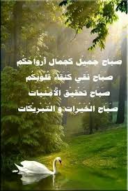 صباح جميل كجمال ارواحكم صباح نقي good morning picture morning pictures good morning pictures