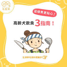 高齡犬飲食3指南 comics instagram art