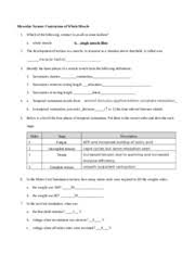 • skeletal muscles are mostly voluntary. Worksheet On Muscle 1 Muscular System Anatomy Review Skeletal Muscle Tissue 1 Fill In The Characteristics Of The Three Muscle Types Muscle Type Course Hero