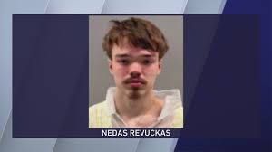 19-year old Westmont man charged with murdering pregnant woman in Downers Grove makes initial court appearance