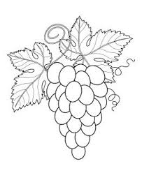 Riscos Graciosos Cute Drawings Frutas Legumes Alimento E Bules Chaleiras Fruits Vegetab Vegetable Coloring Pages Leaf Coloring Page Fruit Coloring Pages