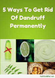 5 Ways To Get Rid Of Dandruff Permanently Hair Buddha