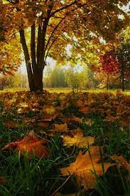 Pin By Cristiana R On Poze Interesante Scenery Landscape Nature